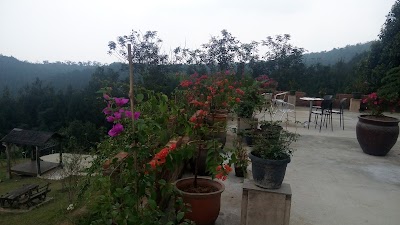 Photos of Kebun cigintung duafa