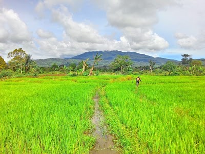 Photos of Bukit Daun