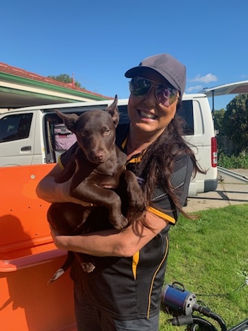 Petbarn Mobile Dog Wash Marangaroo - Thumbnail