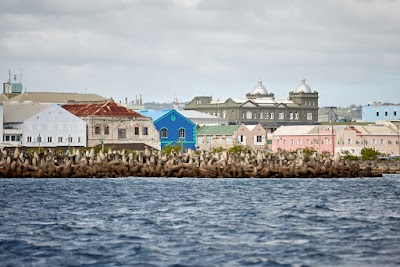 Photos of Calabaza Sailing Cruises