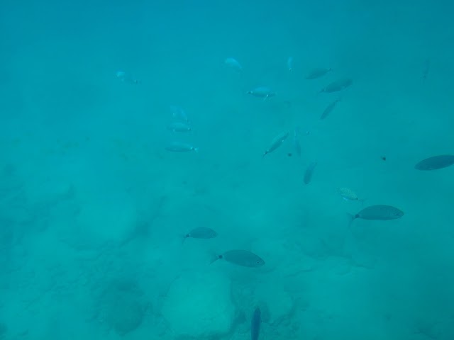 Playa Mujeres