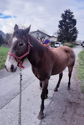 Photo n°2 de Âme’nimal à Albertville (Entrepreneur)