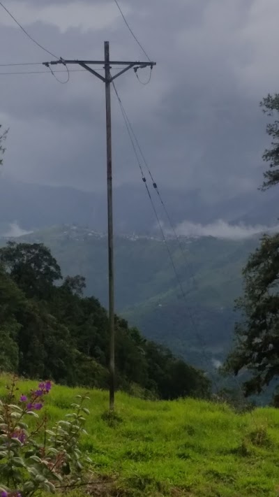 Photos of La Carbonera