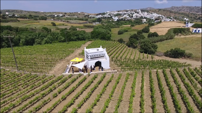 Opinii despre Vaptistis Winery în Εξωμβούργο - Κάβα