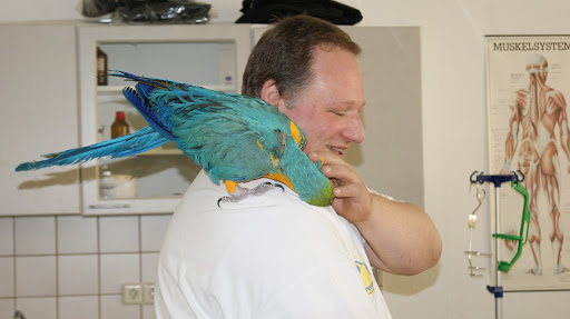 PaNaHeCo - Parrot Natural Health Consulting - Thumbnail
