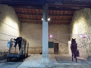 Photo n°13 de Centre Equidéal - Ecurie de propriétaires à Saint-Paul-Trois-Châteaux (Écurie)