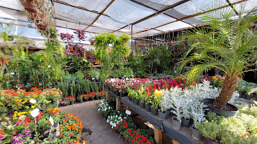 Vivero Italia - Foto 1