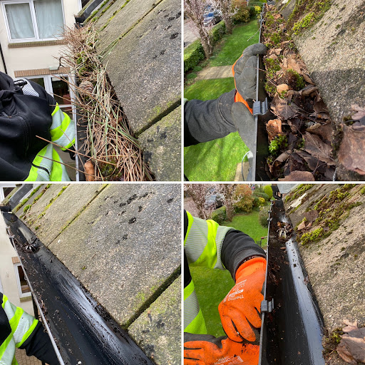 South West Bin Cleaning - Thumbnail