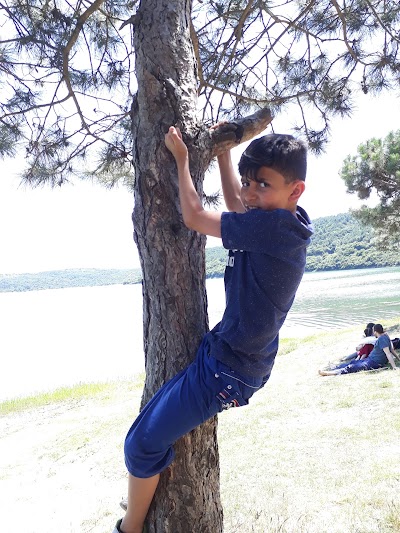Photos of Alibey Barajı