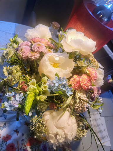 Kellerblüte - Visual