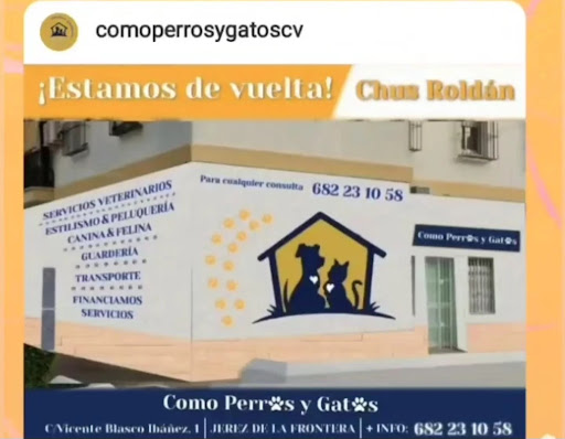 Https://www.Como Perros & Gatos.es/contacto - Visual