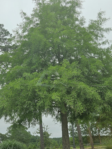 Louisiana Welcome Center - Thumbnail