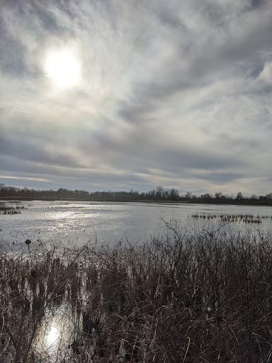 Topinabee Lake Preserve Gallery - United States