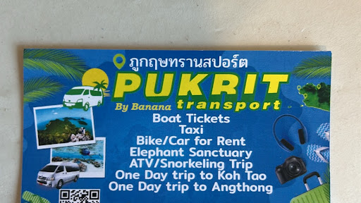 Pukrit Taxi Service and Car rental