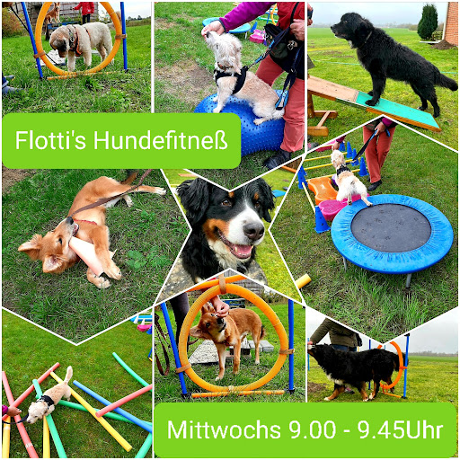 Hunde-Physio Breitenfelde Osteopathie und Physiotherapie für Hunde - Thumbnail