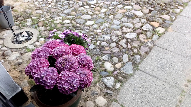 Åbningstider for Borbjerg Mølle Kro