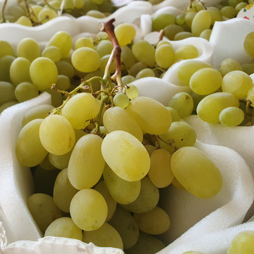 Ortofrutta Giombetti Gallery - Italy