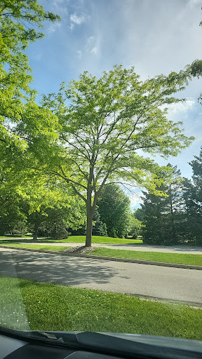 Wirth Park South - Thumbnail
