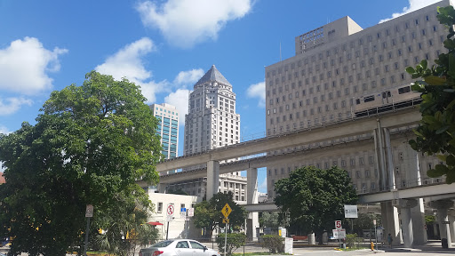 Miami Courthouse - Visual