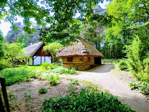 Ethnographic Museum in Zielona Gora. Headquarters, Author: Sebastian Horczak