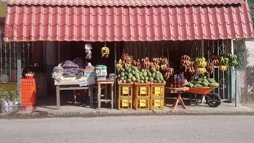 frutas de la región Gallery - Mexico