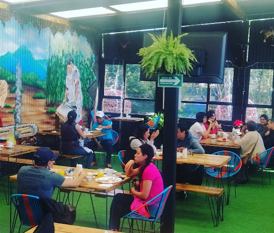 La Guerrerense by null