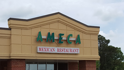 Ameca - Visual
