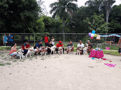 Photos of Corral canino parque para perros.