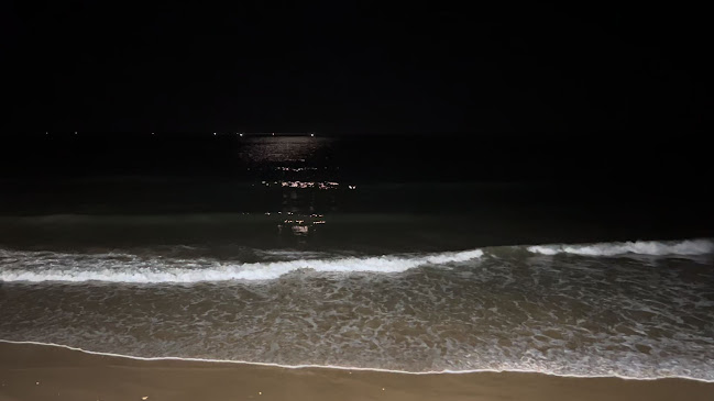Comentários e avaliações sobre o O Pássaro Azul