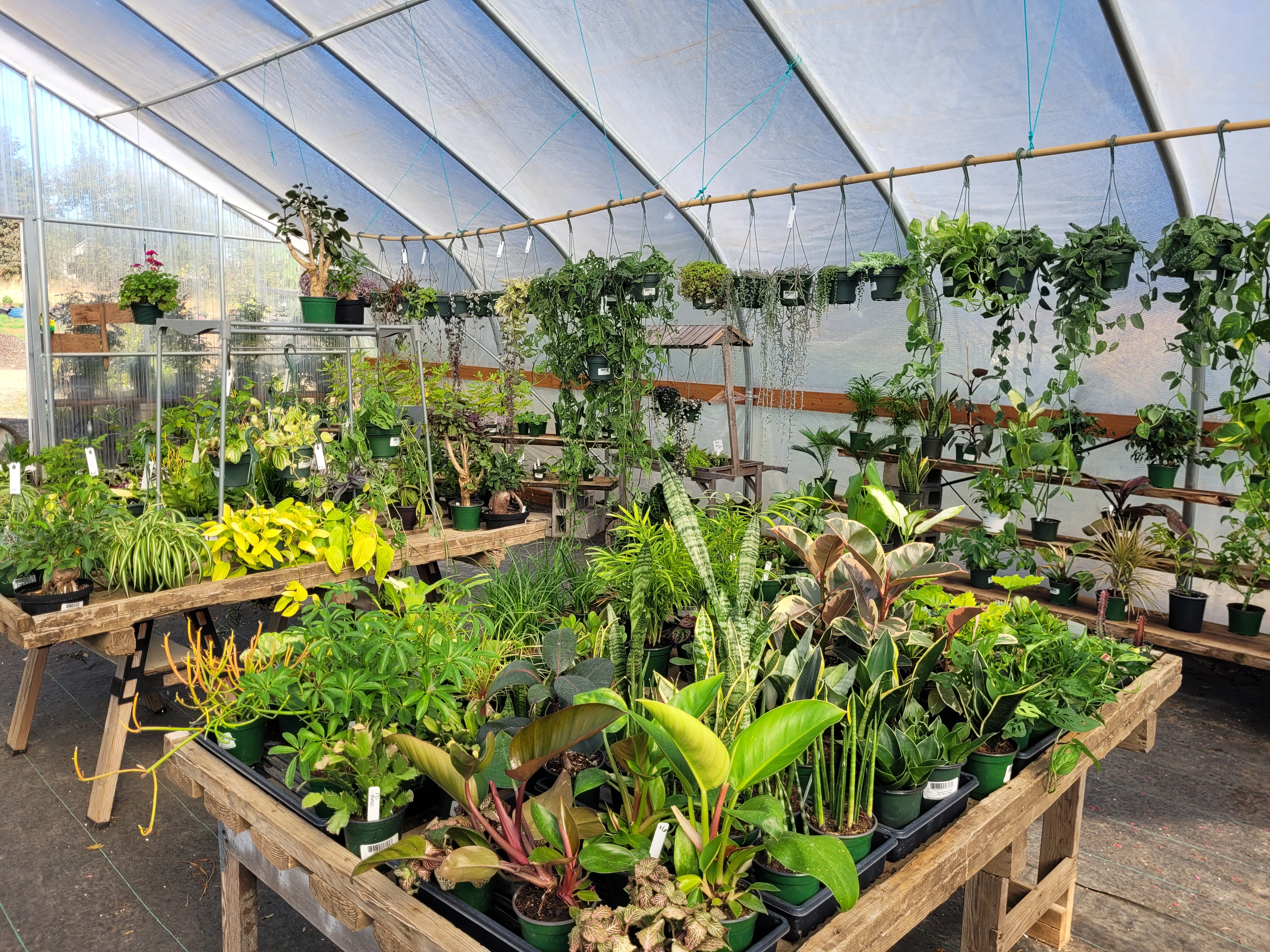 Gath Rd. Gardens