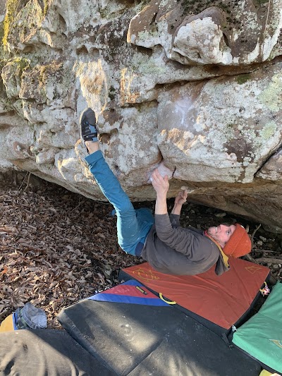 Dogwood Climbing