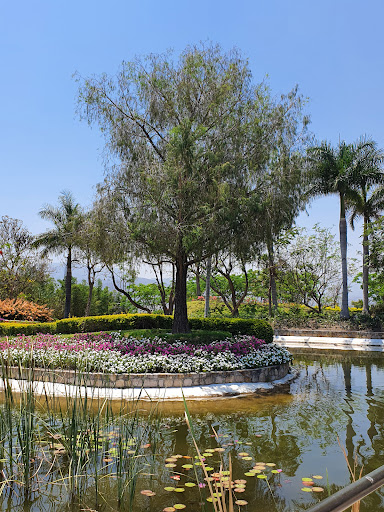 Lago Central - Visual