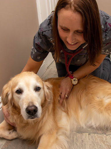 Snelgrove Veterinary Services - Thumbnail