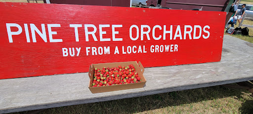 Pine Tree Apple Orchard Strawberry patch