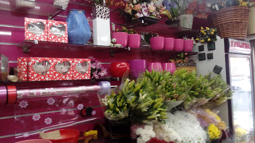 Floristería May - Thumbnail
