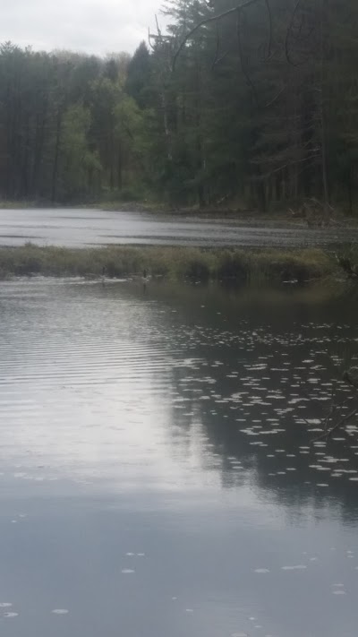 Photos of Hanging Bog Wildlife Management Area