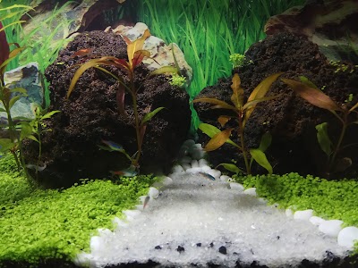 aquarium
