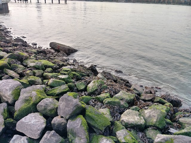 State of New York- East River State Park