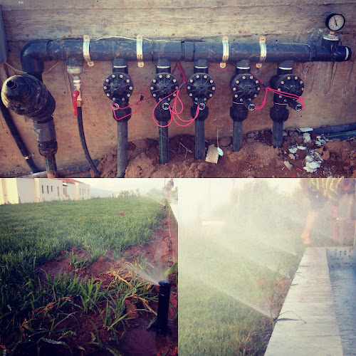 Comentarii opinii despre Β. ΚΛΗΜΗΣ & ΣΙΑ Ε.Ε.