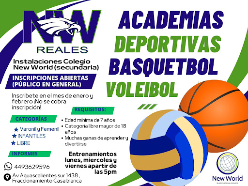 New World School - Visual