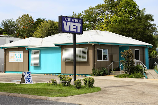 Rose Avenue Veterinary Hospital