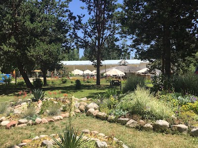 Photos of Ayan Resort