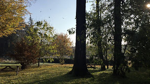 Photo n°34 de Le Jardin de Norah à Brulange (Chambre d'hôtes)