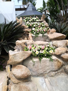 Floristeria Oasis 1