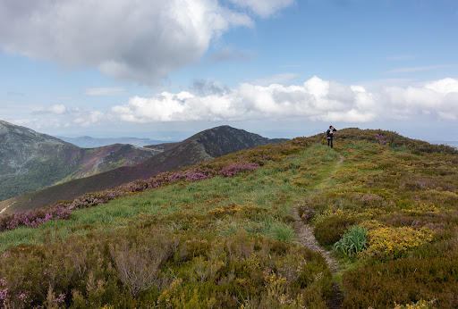 Sierra de Los Ancares - Thumbnail