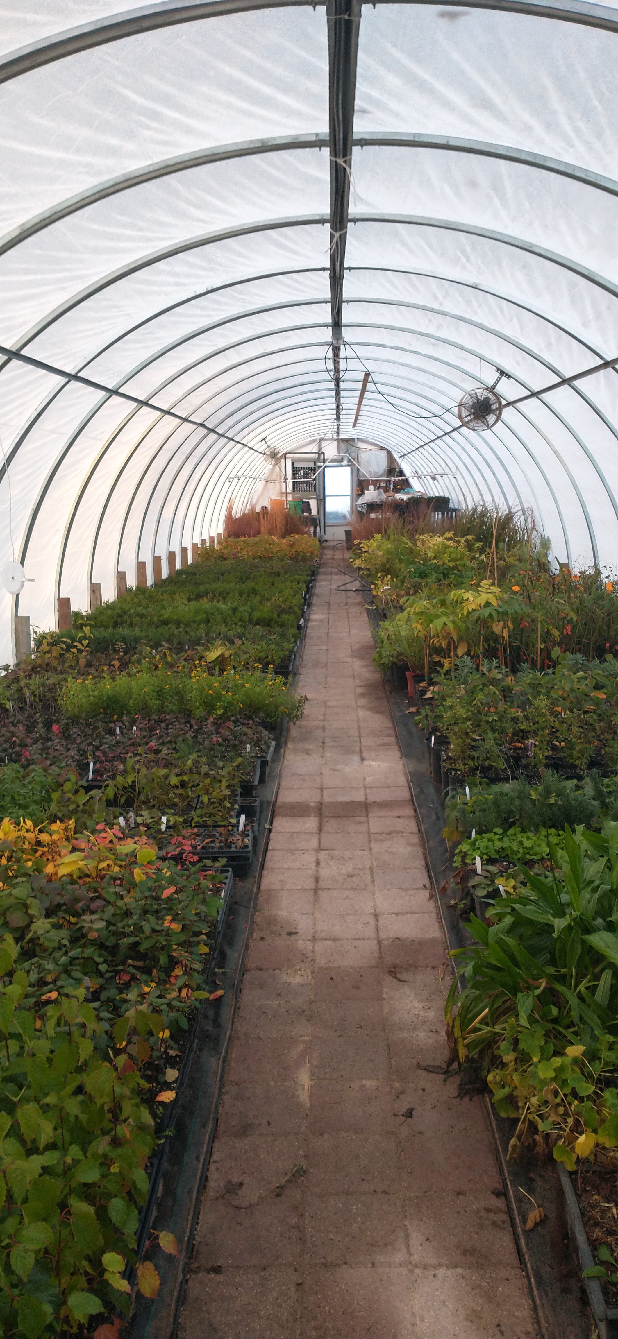 Woody's Plant Nursery