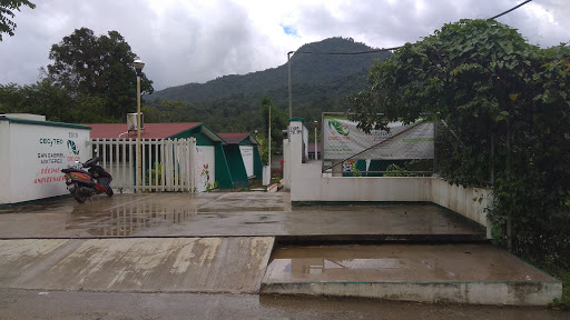 Colegio de Estudios Científicos y Tecnológicos Plantel 37
