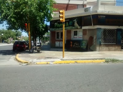 Photos of Veterinaria Planeta A