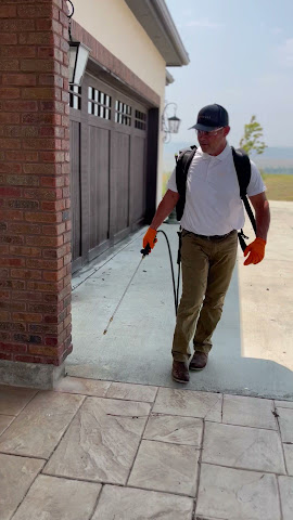 ZeroBugs Denver by null