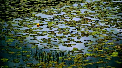 Parc National de Lura